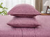 Kathy Ireland 4 Piece Heathered Jersey Knit Cotton Sheet Set (Queen/Rose)