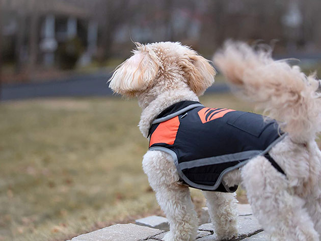 Heated Dog Vest with 5V Rechargeable Dual Port USB Battery (Large)