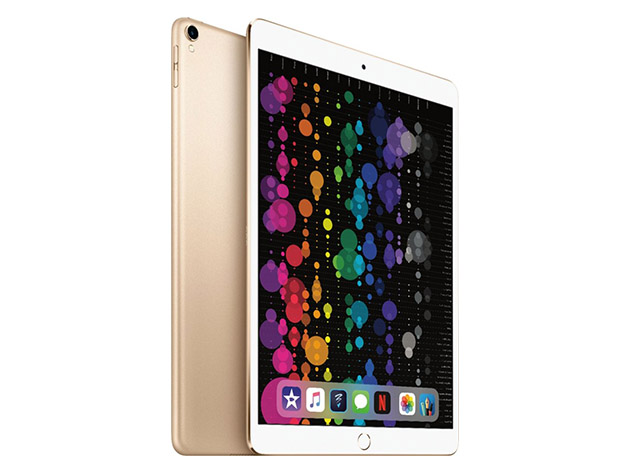 Assassin Tilsætningsstof Udråbstegn Apple iPad Pro 12.9" 1st Gen 32GB - Gold (Refurbished: Wi-Fi Only) |  Popular Science