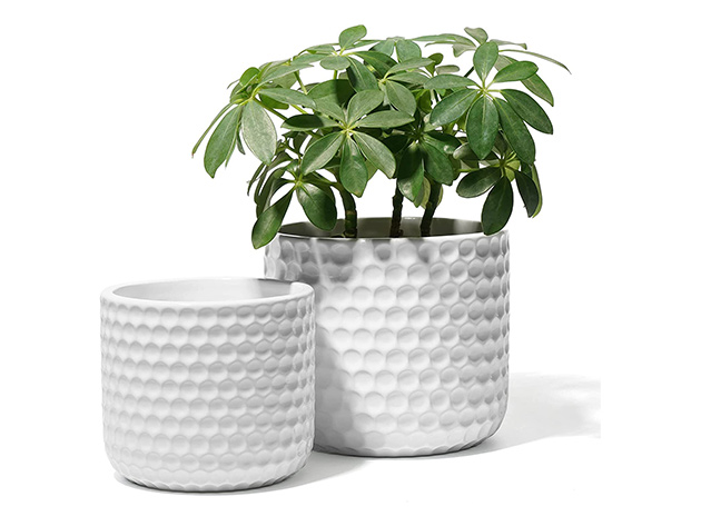 Potey 6" & 5" Ceramic Planter Set