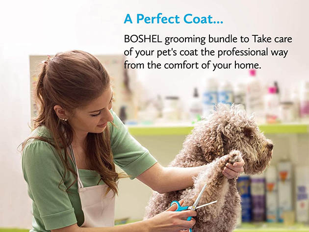 Boshel Pet Grooming Bundle