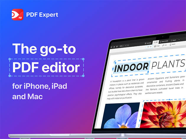 PDF Expert Premium Plan: Lifetime Subscription (Mac)