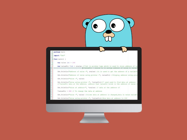 The Go Programming Language Guide: Code Like a Pro