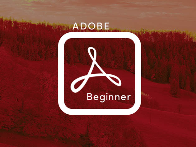 Adobe Acrobat Pro DC (Beginner)
