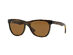 Ray-Ban Wayfarer Style Sunglasses (Tortoise)