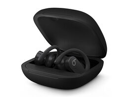 Beats Powerbeats Pro Totally Wireless Earbuds (Open Box)