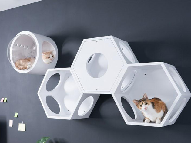 MyZoo BusyCat: Wall Mounted Cat Bed