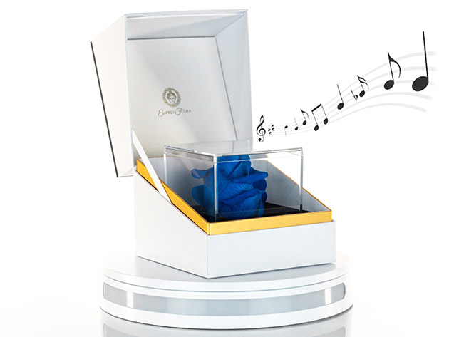 Suóno: Forever Rose with Personalized Audio Message (Blue)