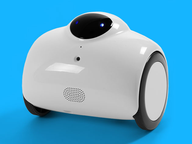 Zubot Interactive HD Surveillance Smart Robot