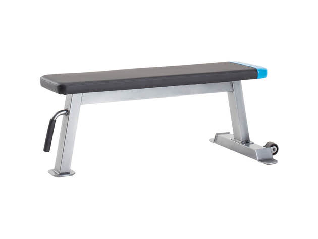 ProForm PFBE09620 Carbon Strength Flat Bench