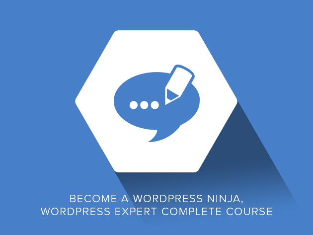 Become a WordPress Expert 