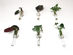 Iron & Spout Wall-Mounted Magnetic Propagation Set (Set of 9)