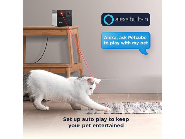 Petcube Play 2 Wi-Fi Pet Camera with Laser Toy & Alexa Built-In, for Cats & Dogs (Used)