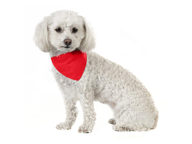 Jordefano Solid Cotton 5 Pack Dog Bandana Triangle Bibs  - Small and Medium Pets - Red