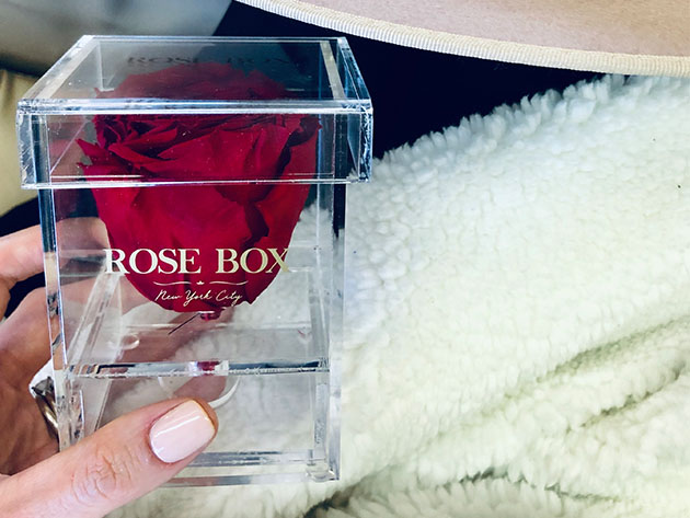 Rose Box™ Single Rose Jewelry Box