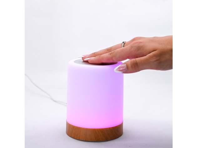 Friendship Lamp