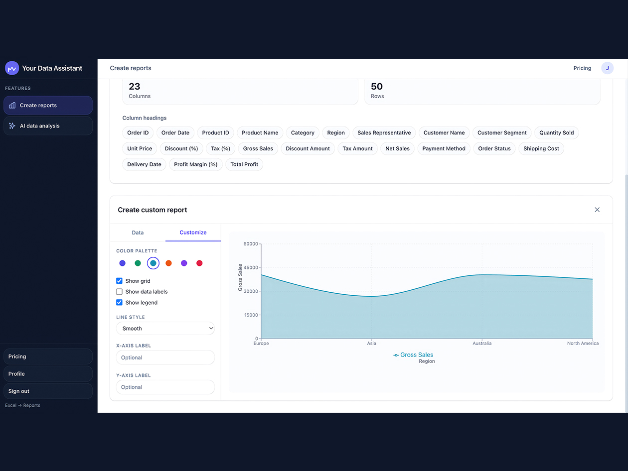 Your Data Assistant Lifetime Subscription (Pro Plan)