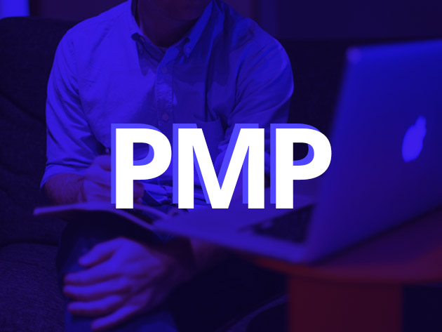 Project Management Professional (PMP)