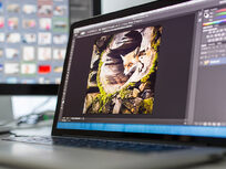 Introduction to Photoshop - Product Image