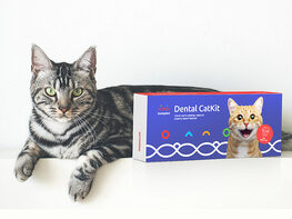 Basepaws Cat Dental Health Test