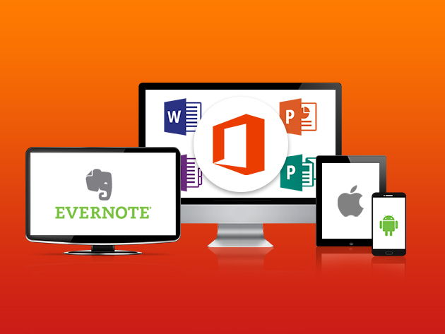 The Multi-Faceted Microsoft Office Professional Bundle