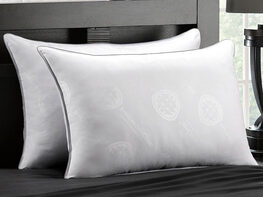 MicronOne Allergen-Free Gel Fiber All-Sleeper Pillows: 2-Pack (Queen)