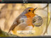 Macxvideo AI: Lifetime Subscription (5 Macs)