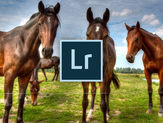 Adobe Lightroom For Beginners