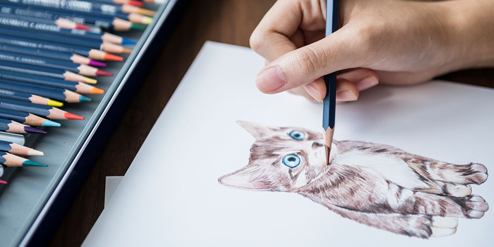 Drawing Animals Using Pastel Pencils