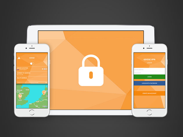 GOOSE VPN: 1-Yr Subscription