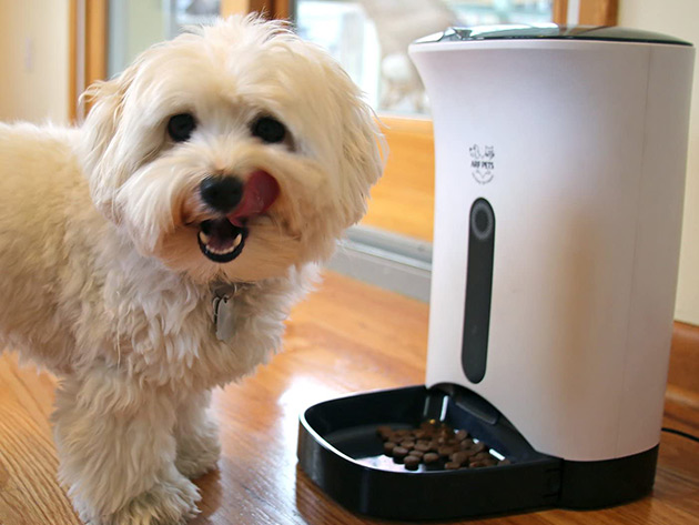 Automatic Pet Feeder Food Dispenser for Dogs & Cats