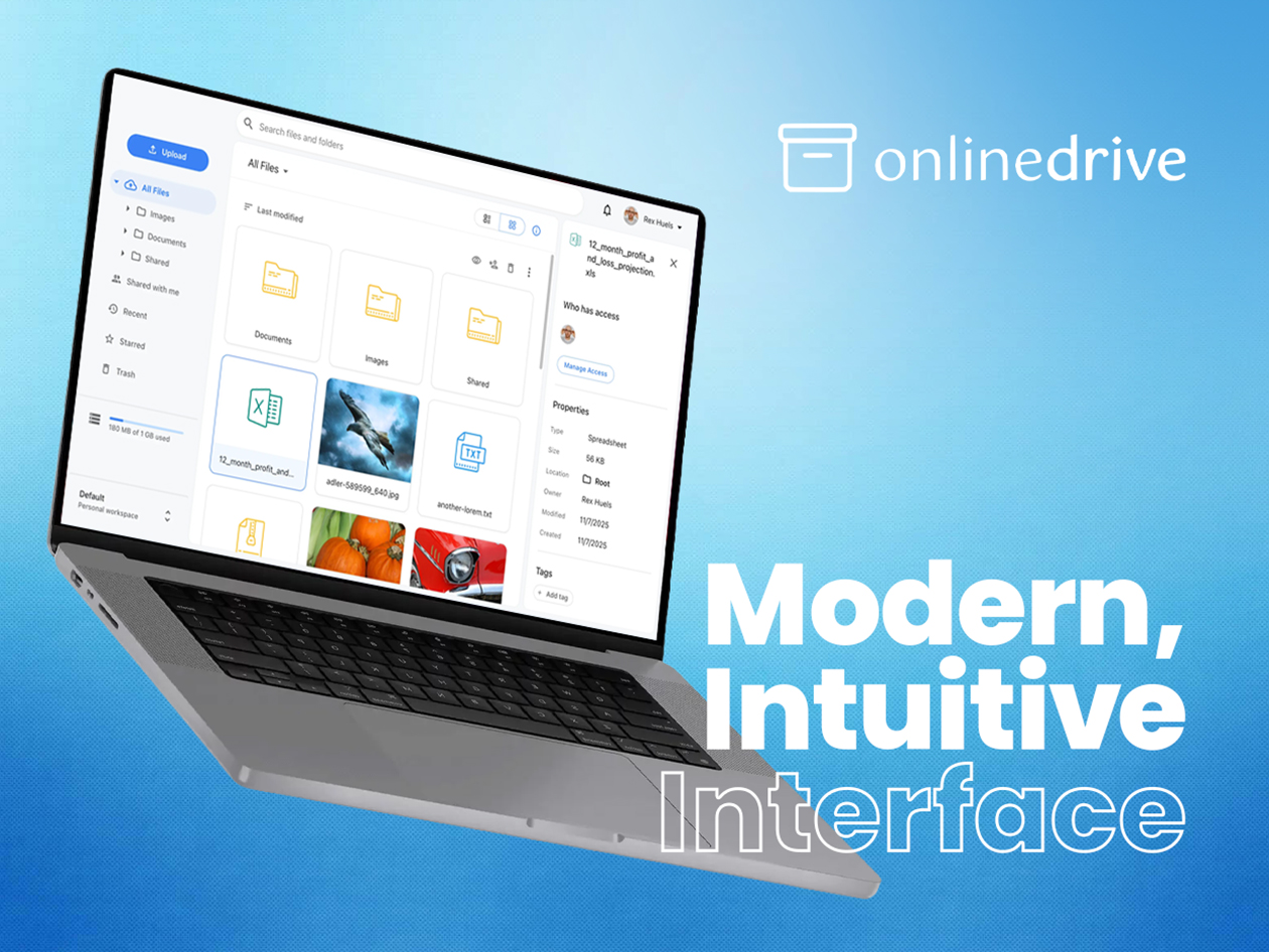 OnlineDrive Cloud Storage: Lifetime Subscription (Business Plan/2TB)