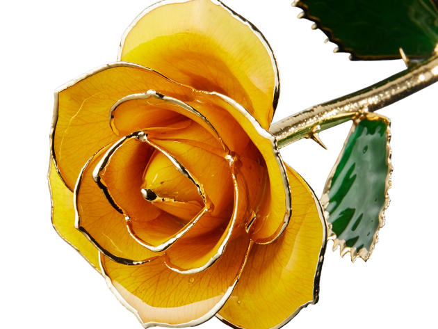 24K Gold Preserved Eternal Rose (Goldenrod Gift)