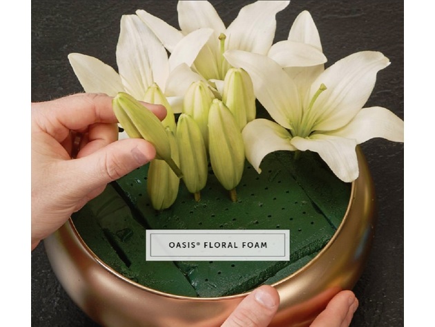 Oasis 48 Pack Standard Wet Floral Foam Brick Fresh Flower Wedding Florist Craft Advantage Plus