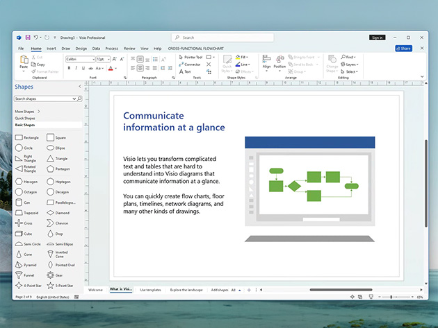 Microsoft Visio Standard 2024: Lifetime License for Windows