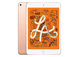 Apple iPad mini (2019) 5th Gen 256GB Wi-Fi & Cellular Unlocked Gold (Refurbished)
