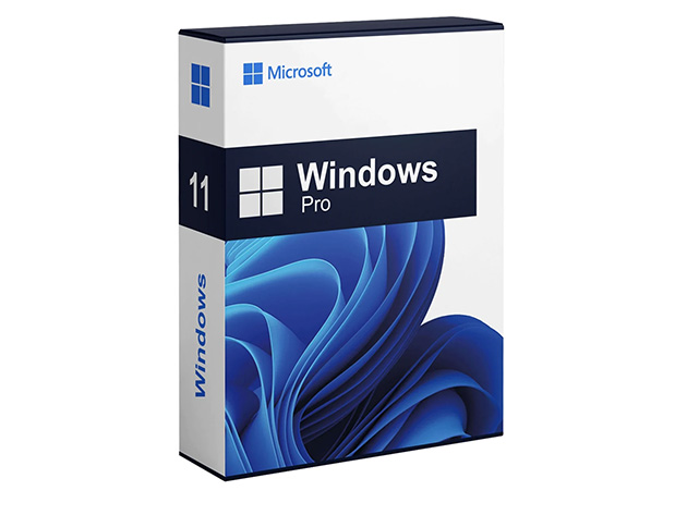 Microsoft Windows 11 Pro Deal — Lifetime License 9025