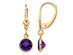 14K Yellow Gold Amethyst Dangle Drop Leverback Earrings