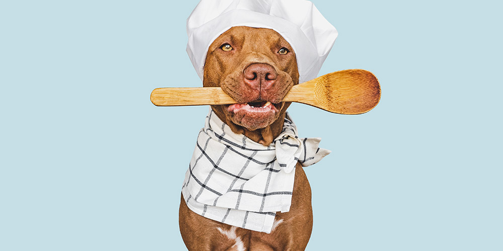 Become a Doggy Dessert Chef [Recipes Only]