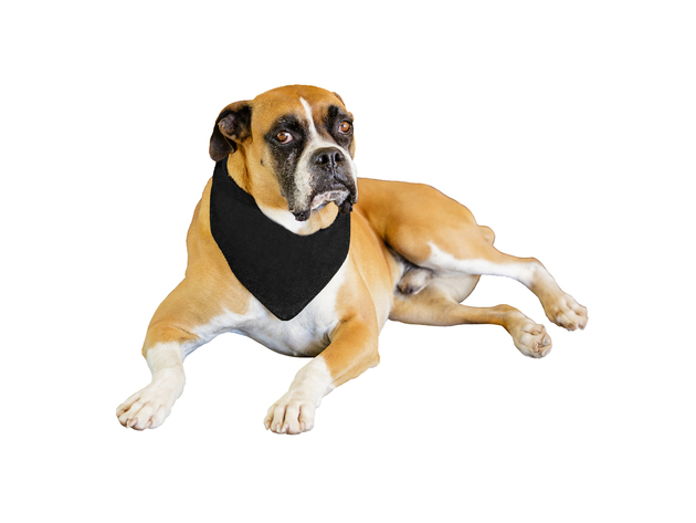 2-Pack Solid Polyester Dog Neckerchief Triangle Bibs - Extra Large - White