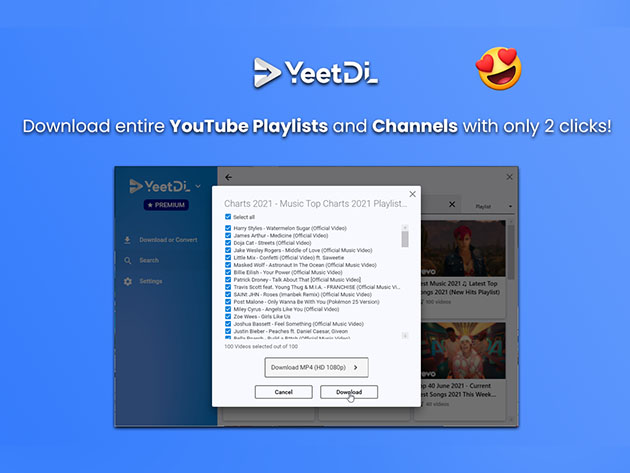 YeetDL Video Downloader: Lifetime Subscription