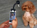  Adjustable Pet Selfie Smartphone Attachment