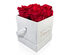 Chounette L' Etonnante 4 Preserved Roses Box for Only $34.99 shipped!