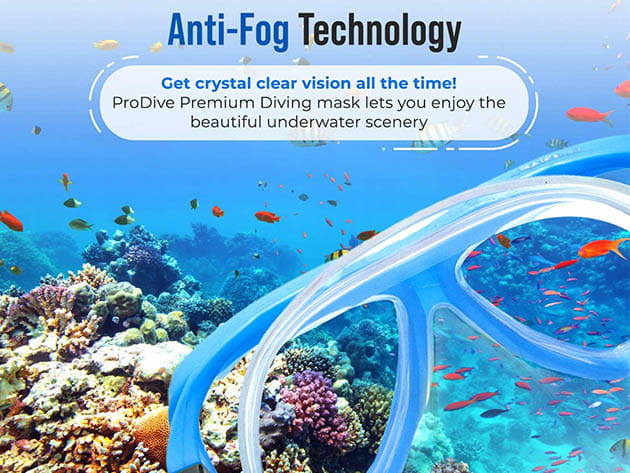 Premium Dry Top Snorkel Set