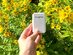 ReSPR SeLF: Wearable Air Purifier with Ionizing Technology