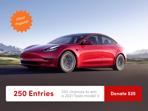 250 Entries to Win a 2021 Tesla Model 3 & Donate to Charity