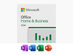 Microsoft Office 2024 Home & Business for Mac or PC Lifetime License