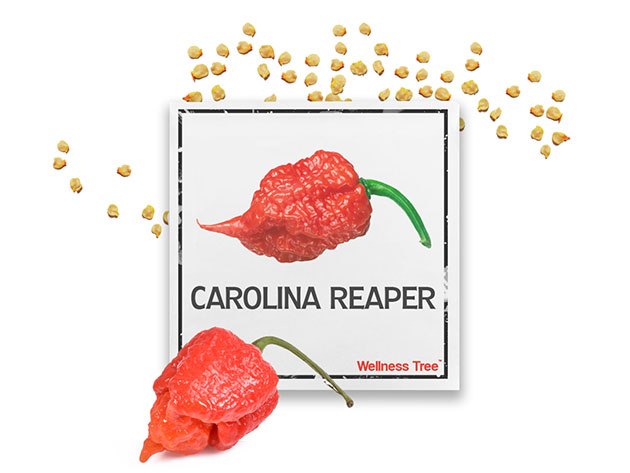 carolina reaper ghost pepper scoville