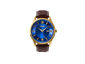 Alexander Men's Watch (Gold/Brown)