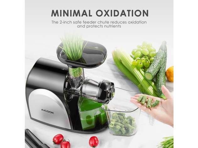 80 RPM Chew Slow Masticating Juicer, Higher Juicer Yield, Quiet Motor and Reverse Function, Recipes Included
